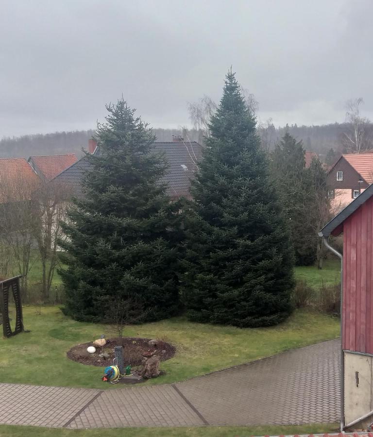 Harzer Bauernhof Apartment Thale Cameră foto